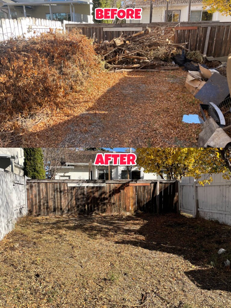 CBB5818E-6F0F-426D-9131-9E7058F8F60E (1)